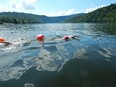 2022 Plavání na otevřené vodě Slapy